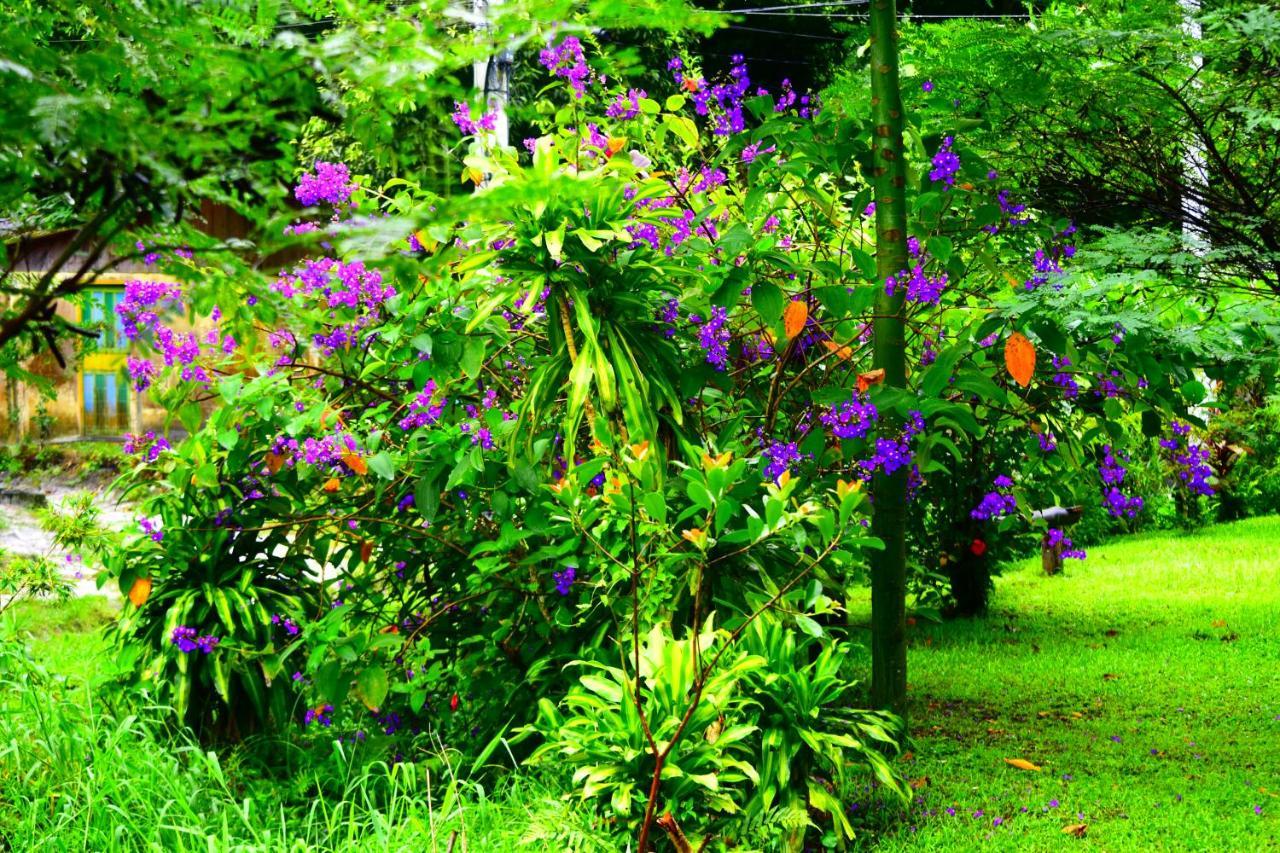 Pousada Duda Mel Ilha do Mel Bagian luar foto
